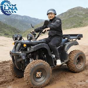 <span class=keywords><strong>Quad</strong></span> à frein à disque hydraulique LNA <span class=keywords><strong>250cc</strong></span> Facile à conduire Tout-terrain Course - Product Image 1
