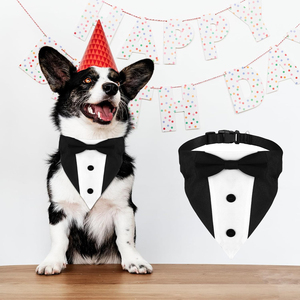 Tanpopo perro esmoquin traje boda Bandana pajarita Príncipe camisa Formal compromiso cumpleaños personalizado mascota perro <span class=keywords><strong>Collar</strong></span> Para Perro - Product Image 1