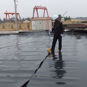 Géomembrane en HDPE, TPO, EVA et EPDM, et géotextile, en vente, pour les applications dans les décharges, les <span class=keywords><strong>étang</strong></span>s, les barrages, les résidus miniers et les exploitations agricoles - Product Image 5