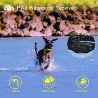 Robustes Outdoor-Hundetrainingshalsband IPX7 Wasserdicht mit Langstrecken-Fernbedienung und Langer Akkulaufzeit Elektrisches Erziehungshalsband