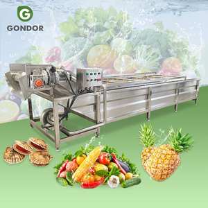 Machine de lavage à bulles industrielle pour légumes (laitue verte, piment, avocat, poivron) et fruits (mangue) - Product Image 1