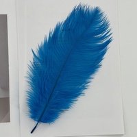 Plumes d'autruche colorées en gros 25-30 cm - Garnitures de luxe en plumes pour vêtements de danse, costumes de scène et confection de chapellerie