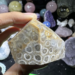 หินปาล์มจากหยกปะการังธรรมชาติคุณภาพสูง ขายดี รูปทรงไม่สม่ำเสมอ เหมาะสำหรับตกแต่งบ้านและเป็นของขวัญคริสต์มาส - Product Image 2