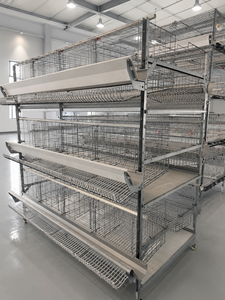 Jaula Automática <span class=keywords><strong>para</strong></span> Aves de Corral <span class=keywords><strong>para</strong></span> Granjas de Gallinas Ponedoras con Sistema de Alimentación y Bebederos - Product Image 2