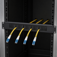 Panneau de balayage à fibres optiques personnalisé en gros 1U 2U 3U 4U pour armoire de serveur 19 pouces