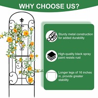 Arche de jardin décorative en métal noir, support en fer forgé pour plantes grimpantes (roses et vigne) (lot de 2)