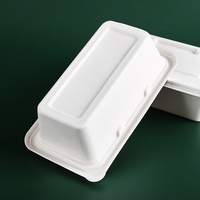 Boîte à lunch rectangulaire jetable 100% compostable, boîte à snack, boîte à repas rapide en bagasse de canne à sucre avec couvercle
