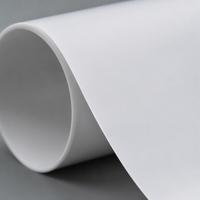 Film de transfert PET blanc Tensfilm 100µm à libération fluorée 20-50g/in, haute diélectricité pour isolation haute tension et marquage d'appareils