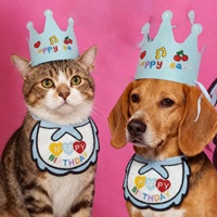 JXANRY Série Anniversaire Style Chien Chat : Bavoirs brodés et Chapeaux Couronne – Fournitures pour animaux de compagnie transfrontalières en gros, toutes saisons