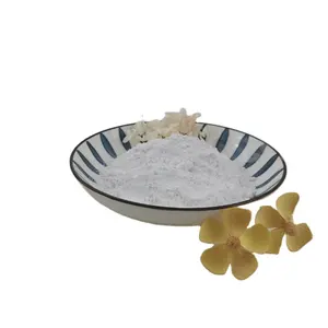Das beliebteste Produkt 3-O-Ethyl-L-Ascorbinsäure CAS 86404-04-8 C8H12O6 1kg/Beutel