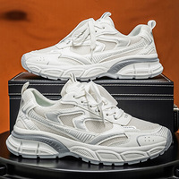 Chaussures de sport pour hommes d'extérieur, respirantes en maille, style chunky, sneakers décontractées, mocassins amortissants, chaussures de marche