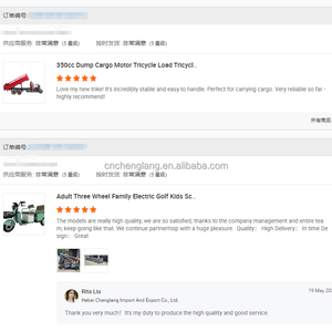 <span class=keywords><strong>Triciclo</strong></span> de Carga Personalizado de 350 CC con Refrigeración por Agua Eje Trasero Doble 9 Ruedas Motocicleta de Doble Rueda 9 Ruedas Triciclos Motorizados - Product Image 5