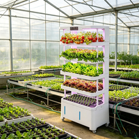 Système hydroponique vertical intelligent Seedafarm pour usage domestique avec culture sans sol à plusieurs niveaux pour légumes et semis
