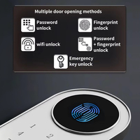 CEQSAFE Coffre-fort intelligent Wi-Fi antivol en acier avec alarme, empreinte digitale et mot de passe pour la sécurité à domicile et au bureau