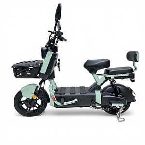 Bicicleta Eléctrica Urbana con Cuadro de Acero, Motor sin Escobillas en la Rueda Trasera, Tecnología de Sensor Electrónico, Batería de Plomo-Ácido de 48V, 3 Velocidades, 50km/h - Product Image 1