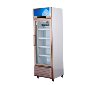 Congélateur vertical à porte simple commercial, porte en verre, réfrigérateur à crème glacée pour épicerie - Product Image 4