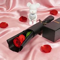 Geconserveerde rozen - Echte rozen uit China voor vrouwen, Moederdag, Valentijnsdag, jubileumgeschenken