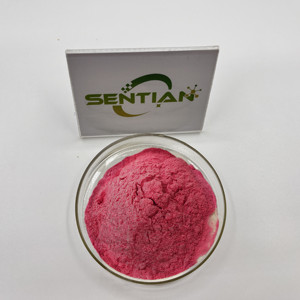 Polvo de jugo de fruta de fresa Natural de alta calidad polvo de extracto de fresa Liofilizado - Product Image 4