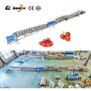 Línea Automática de Lavado y Secado de Tomates <span class=keywords><strong>Cherry</strong></span> de 2000 kg/h, Máquina Industrial de Limpieza de Frutas, Lavadora de Vegetales por Burbujas - Product Image 1