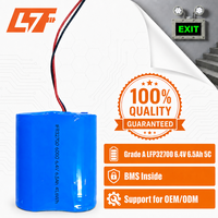 Kustomisasi pabrik isi ulang 32700 6.4V 6,5ah 41,6 WH LiFePO4 baterai 2 Pak untuk senter mainan alat listrik
