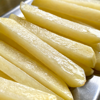 Commerciële roestvrijstalen elektrische blancheermachine voor aardappelchips, fruit en voedselverwerking