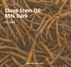 Huile de clou de girofle (Eugenia Caryophyllus) pure et naturelle en gros sous marque privée, haute qualité pour les maux de dents - Product Image 1