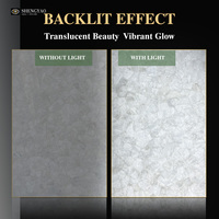 Panneau mural décoratif pour salle de bain de villa de villégiature, en dalle de quartz blanc cristallin rétroéclairée, pierre semi-précieuse translucide, taille sur mesure