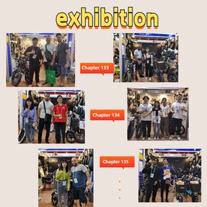 Livraison Gratuite Nouveau Modèle Vélo Électrique 500W Vélo Électrique à Pneus Larges 4.0 Couleur Vert Mat Très Demandé sur le Marché Américain - Product Image 5