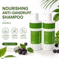 Shampoo antipelliculaire en gros, shampooing nourrissant pour le soin du cuir chevelu, fournisseur