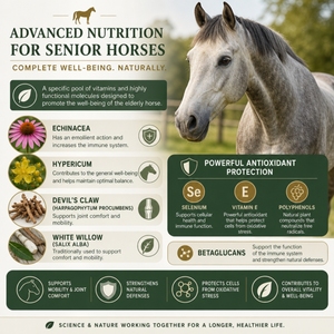 Suplemento vitamínico Horse Pro Age Air Senior 1Kg para caballos - Product Image 4