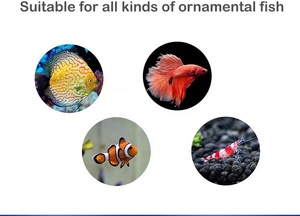 Bán Buôn Xy-180 Xy-280 Xy-380 Aquarium Mini Xi Lanh Mềm Sinh Hóa Miếng Bọt Biển Lọc Bể Cá Aquarium Hiệu Quả Miếng Bọt Biển Lọc - Product Image 6