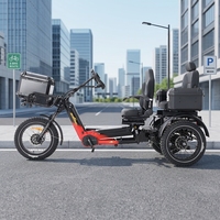 Vélo électrique à batterie au lithium 48V pour adultes, modèle 2026, fabriqué en Chine, avec pneus larges de 20 pouces, tricycle à neige à trois roues avec pédales