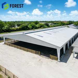 Instalación Ecuestre Interior de Acero de Gran Escala con Diseño de Techo Transparente de 60x120 pies, Precio Directo de Fábrica - Product Image 1