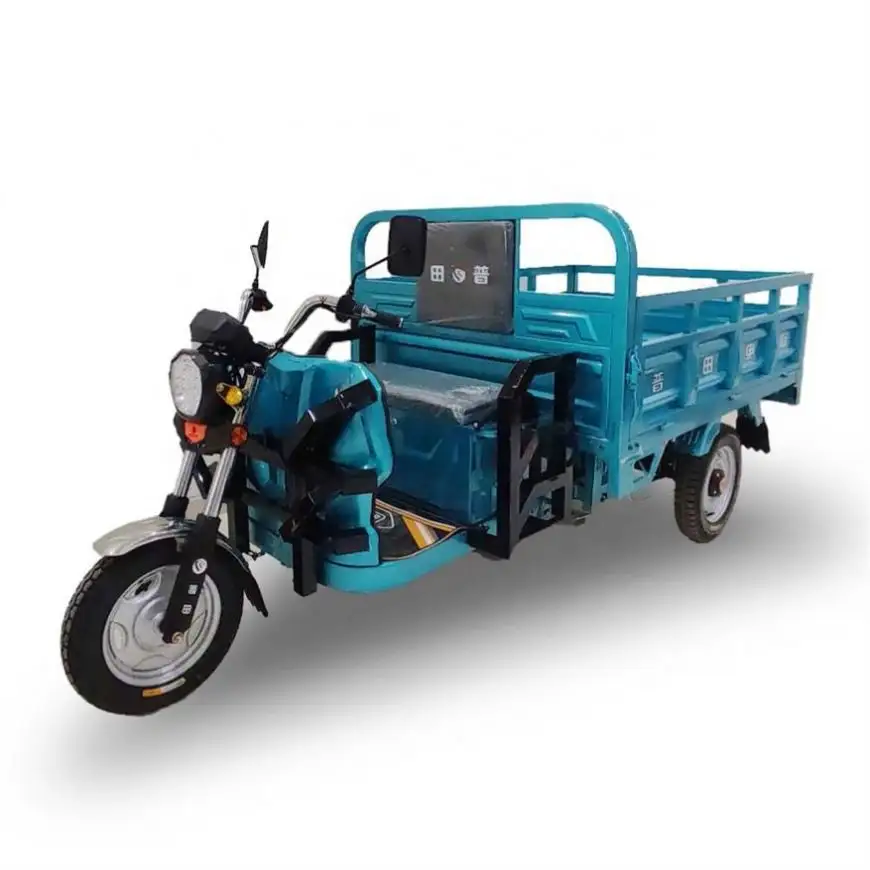 Elegante individuelle Motorrad-Elektro-Dreifahrräder mit Hersteller-Maßanfertigung