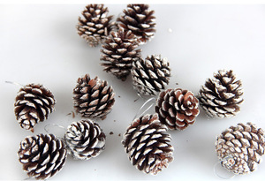 Moderne piccole pinne di neve ornamenti per l'albero di natale ringraziamento fai da te mestieri vaso riempitivi autunno inverno decorazioni per la casa-fabbrica - Product Image 4