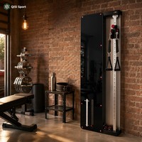 Appareil de musculation fonctionnel mural pour la maison, machine à câbles compacte pour salle de sport à domicile, pile de poids de 30 kg, plus de 100 exercices, noir piano