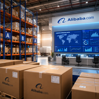 Compañías de Envío de China a Israel, DDP, Transporte Aéreo Puerta a Puerta, Despacho Rápido, Despacho de Aduanas, Impuestos Incluidos, TLV