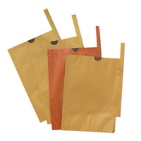 Sac de protection pour fruits de mangue en papier kraft enduit de cire écologique, imperméable, pour la protection des cultures agricoles, avec gaufrage personnalisé