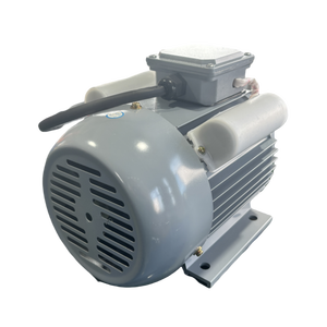 Yl8024 750W 220V 110v B3 1400 vòng/phút IP44/54 động cơ AC không đồng bộ một pha tụ kép - Product Image 3