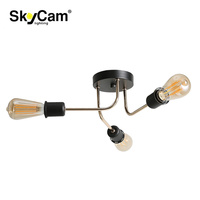 SkyCam OEM/ODM irrégulier Simple moderne salon monté en Surface plafonnier Art en fer