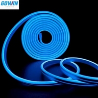 Solutions d'éclairage LED polyvalentes de qualité supérieure DC 12V/24V Bande de néon étanche flexible en silicone IP65/IP67/IP68 2835 Corps en PVC