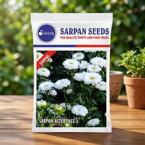 SARPAN HYBRID ASTER-AST-1 เมล็ดดอกไม้ 10 กรัม สีขาว อินเดีย - Product Image 5