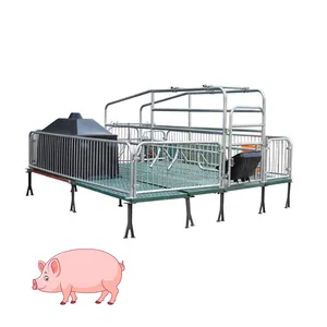 Sow Corral Bed Farm Equipment Cerdo Parto Caja de destete para cerdos de vivero con piso de listón de plástico Pp