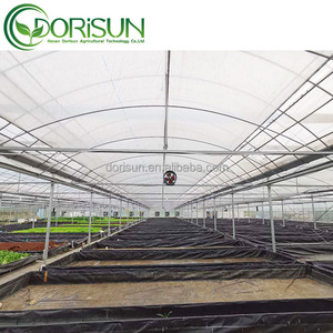 Venlo – pilier solaire en verre, Tunnel, couverture en plastique, lit de rocaille d'aquaculture, serre <span class=keywords><strong>avec</strong></span> <span class=keywords><strong>étang</strong></span> à poissons - Product Image 6