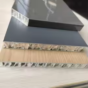 Porte en nid d'abeille en aluminium de style industriel avec revêtement antibactérien Désinfection facile pour la décoration Finition miroir de qualité hospitalière - Product Image 3