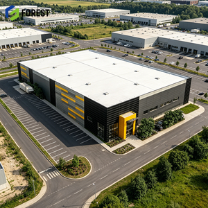Estructura de Acero Resistente al Viento para Almacenamiento de Maquinaria Industrial, Construcción de Portales, Fabricación ODM, Taller - Product Image 1