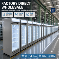 Congélateur vertical de haute qualité -24°C ° Vitrine sans givre avec évaporateur en cuivre pur et triple vitrage trempé, modèle C Deep Case