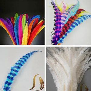 Vente en gros de plumes d'<span class=keywords><strong>autruche</strong></span> Nandu pour carnaval et costume très beauté plume d'<span class=keywords><strong>autruche</strong></span> Nandus 13-24" - Product Image 5