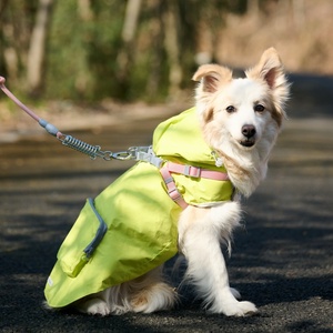 Correas para mascotas Venta al por mayor Correa para perros de alta calidad Perros medianos y grandes Asas de absorción de impactos Correa para perros de alta resistencia - Product Image 2