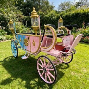 Crea el Puesto Fotográfico Más Popular en tu Lugar con una Carruaje de Princesa - Product Image 1